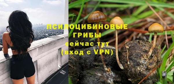 ALPHA-PVP Армянск